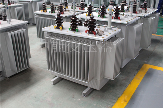 沧州S22-100KVA/10KV/0.4KV变压器